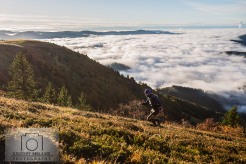 Trailrunning und Sonnenaufgang am Belchen / Schwarzwald